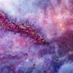 Legionella e circuiti idrici